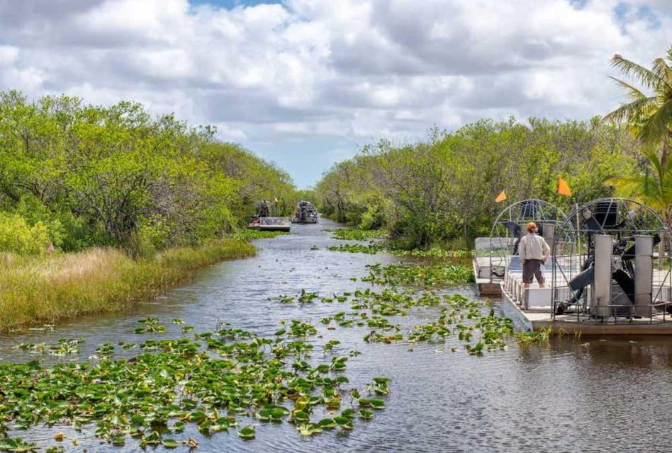 From Miami: Everglades Wildlife Show, Airboat & Bus Transfer - Getting to Everglades Park from Miami without the headache