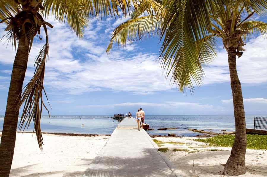 From Miami: Key West Day Tour by Motor Coach Bus - The Bridge-Overdrive Drive That Sets the Mood