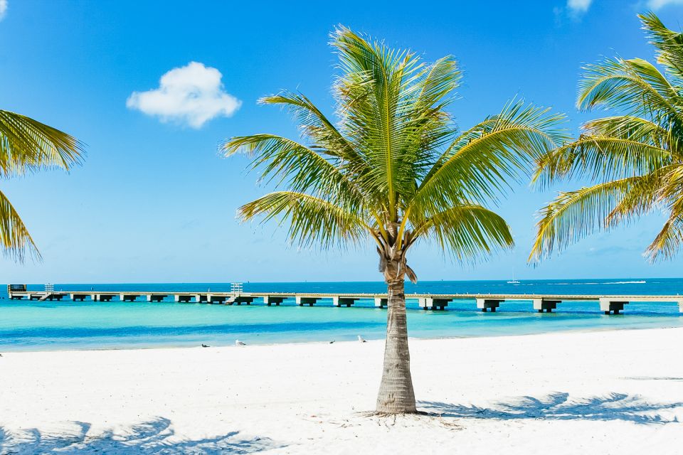 From Miami: Key West Day Trip - A full-day route with real Key West time