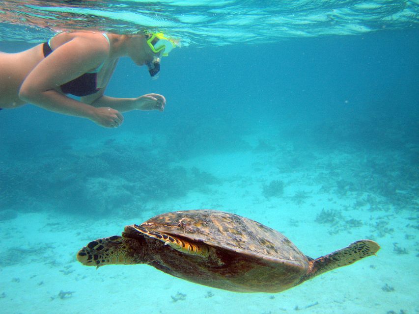 From Miami: Key West Day Trip - Getting to Key West: what you’ll actually see from the road
