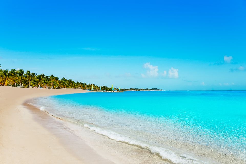 From Miami: Key West Day Trip - Optional snorkeling in Key West waters: the rules that matter