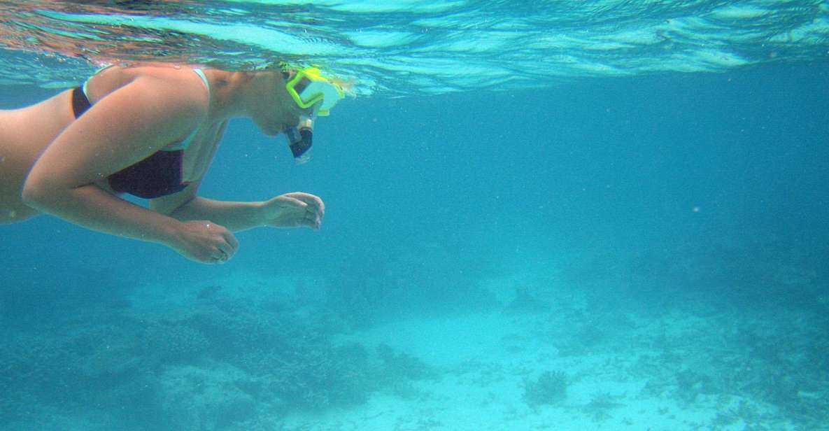 From Miami: Key West Day Trip - Parasailing and the high-water thrill factor