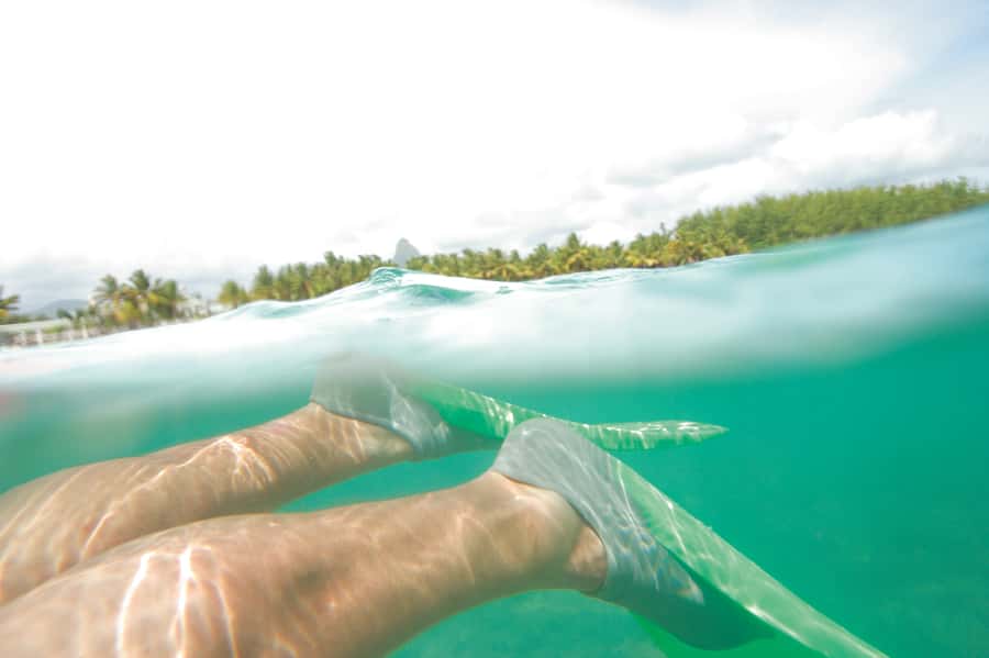 From Miami: Key West with Dolphin Watch or Snorkel Boat - Should you book this Miami to Key West day trip?