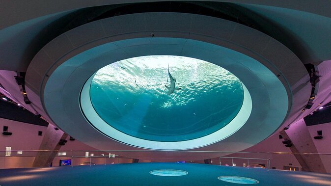 Frost Science Museum Admission Tickets - Key things to know before you go