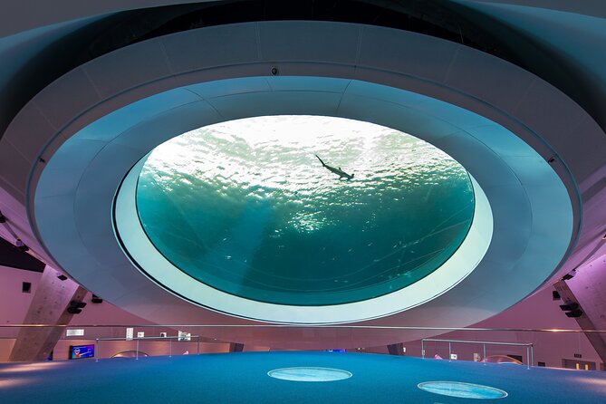 Frost Science Museum Admission Tickets - Frost Science Miami: a full science day in one building