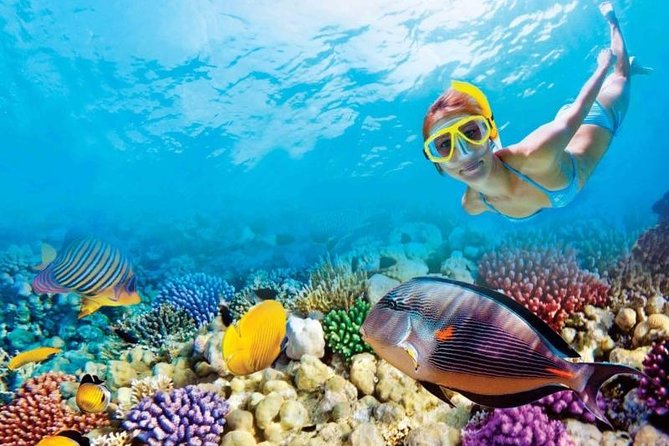 Full-Day Key West Tour and Coral Reef Snorkeling with Open Bar - Mallory Square: Your Free-Roam Stretch Before Snorkeling