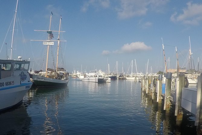 Full-Day Key West Tour and Coral Reef Snorkeling with Open Bar - The Catamaran Part: How the Reef Snorkel Actually Works