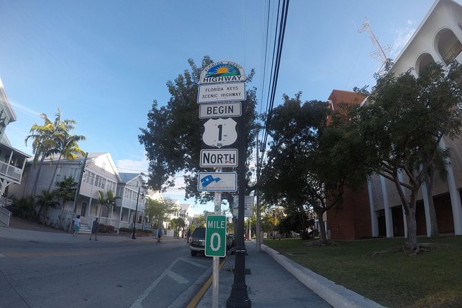 Full-Day Key West Tour and Coral Reef Snorkeling with Open Bar - What You Might See: Fish, Reefs, and the Occasional Wildcard