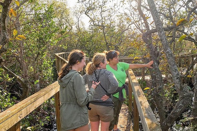 Half-day Everglades National Park Tour and 1-Hour Air Boat Ride - Who the guides are like: small-group energy, big explanations