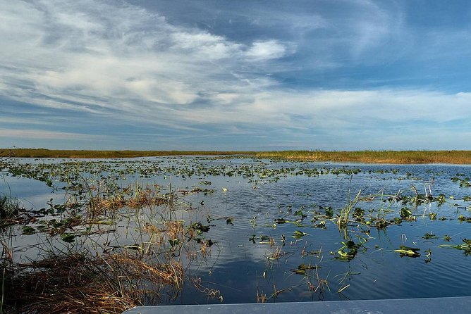 Half-day Everglades National Park Tour and 1-Hour Air Boat Ride - What to pack (so the day doesn’t fight you)