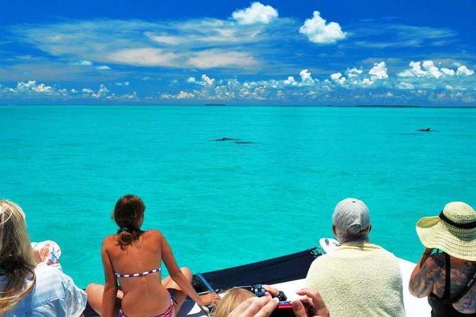 Key West Day Trip from Miami with Activities - Why Seven Mile Bridge is the star stop
