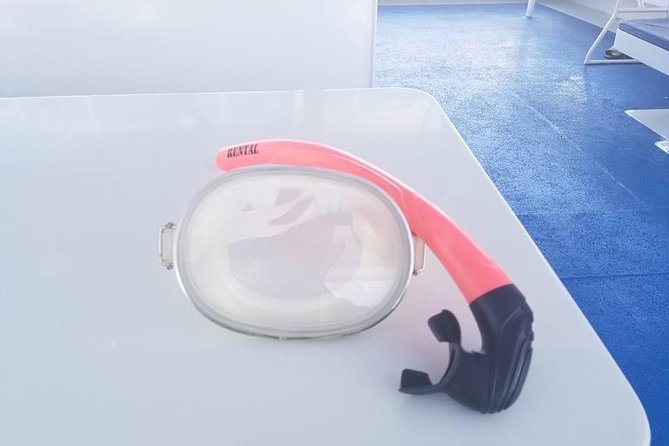 Key West Sail and Snorkel with Hotel Transportation from Miami - Sand Key Reef: What You’ll Actually See in the Water