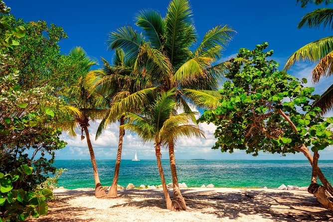 Key West Sail and Snorkel with Hotel Transportation from Miami - Drinks, Rest Stops, and Sea-Sickness Reality