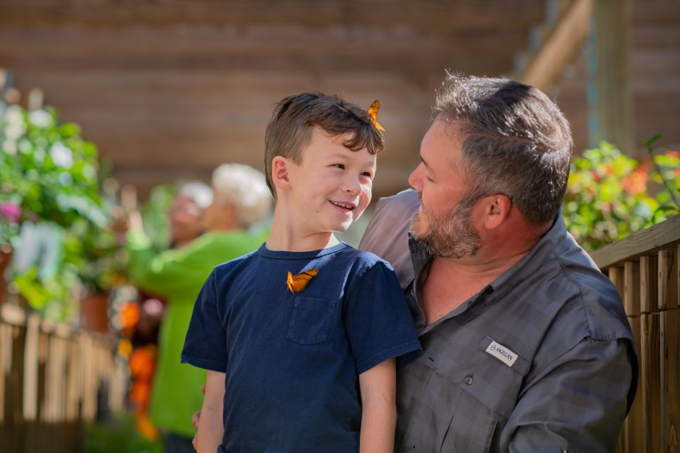 Kissimmee: Boggy Creek Airboat Ride with Optional Meal - A 32-acre stop: airboat + park day in one place
