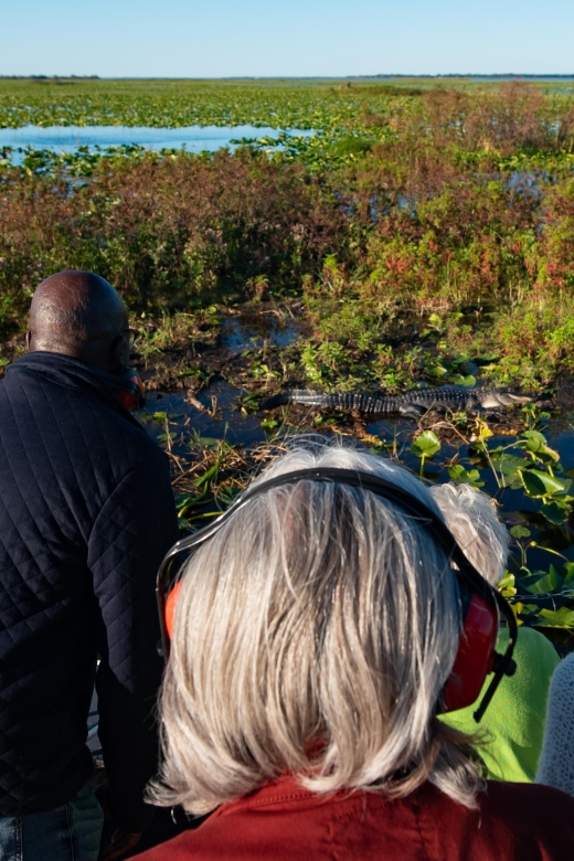 Kissimmee: Boggy Creek Airboat Ride with Optional Meal - Stone-and-fossil mining in a 70-foot trough (optional)