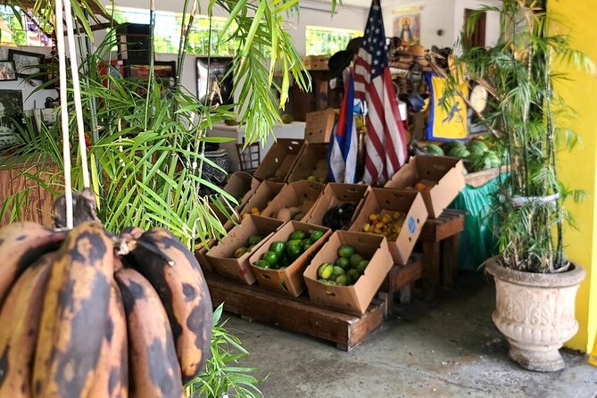 Little Havana: Authentic Food and Culture Walking Tour - Who this tour is for (and who should skip it)
