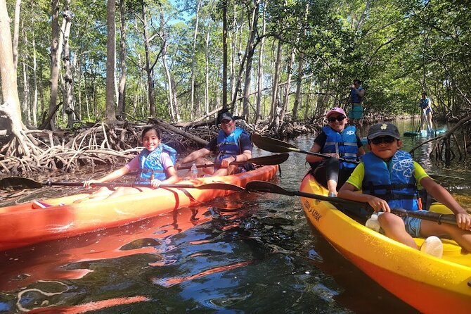 Mangrove Jungle Exploration on SUP/Kayak - Key Highlights You’ll Actually Care About