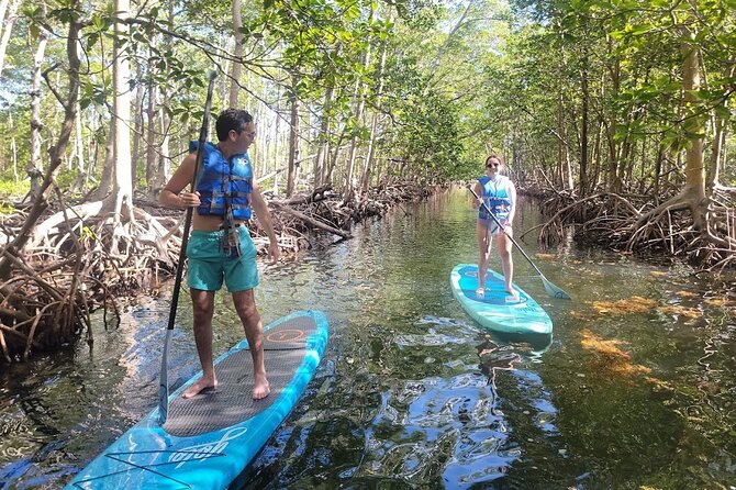 Mangrove Jungle Exploration on SUP/Kayak - The Timing: A Tight 3-Hour Adventure With Limited Downtime