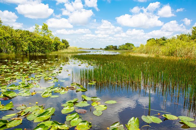 Miami and Everglades Adventure: Airboat & Bay Cruise Combo - Millionaire’s Row and the Port of Miami: How to Enjoy It More