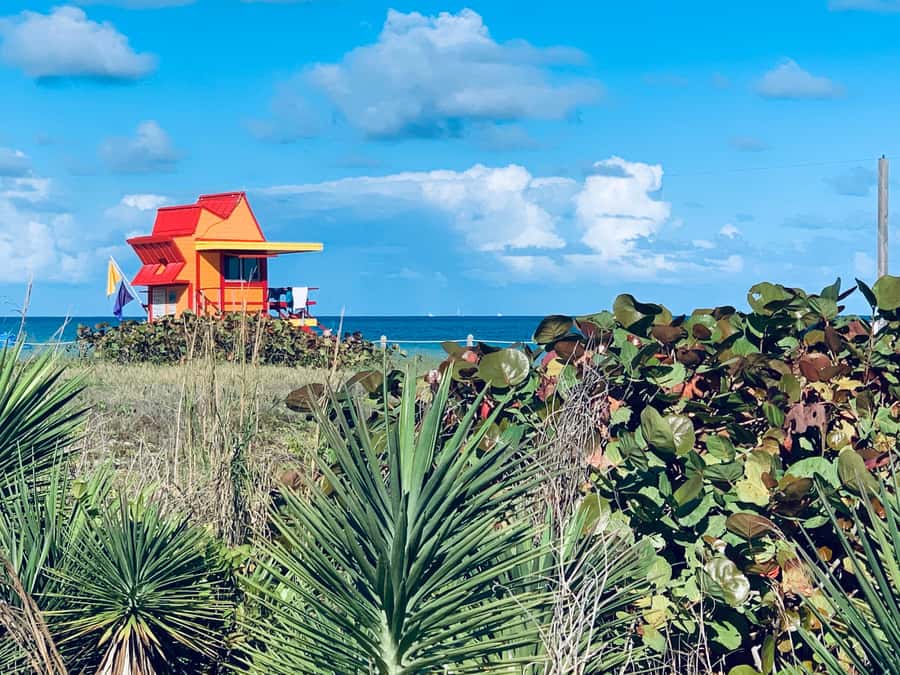 Miami Beach: 1-Hour Segway Glide - Price Value: Is $41 for a 1-Hour Segway Glide Worth It?