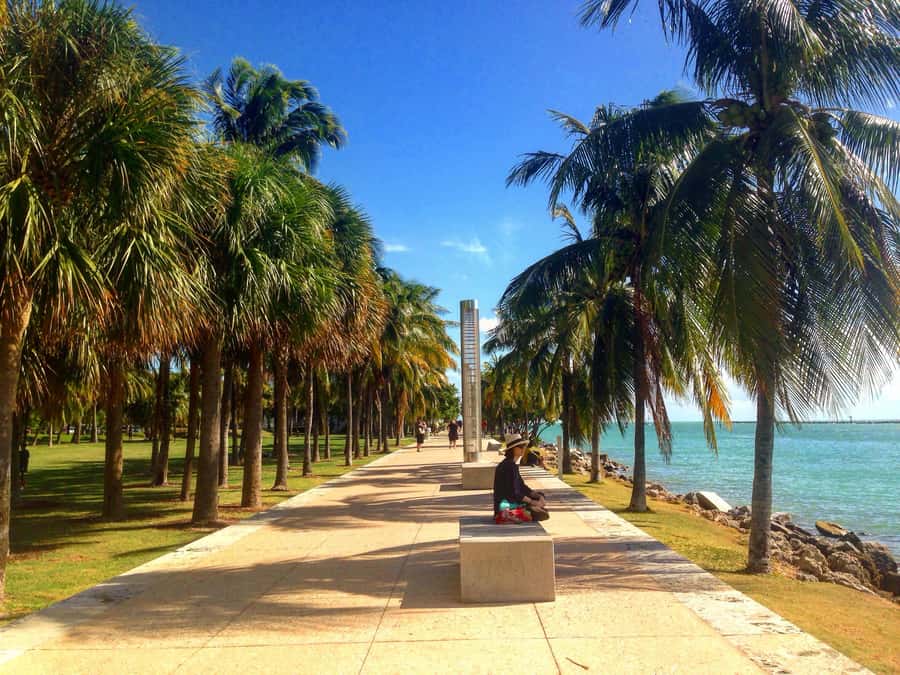 Miami Beach: 1-Hour Segway Glide - What Riding Feels Like: First-Timer Comfort and Guide Patience