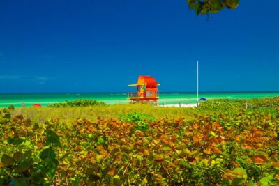 Miami Beach Art Deco & Hidden Gems Bike Tour with Local Historian - Price and what $79 really buys (and what it doesn’t)