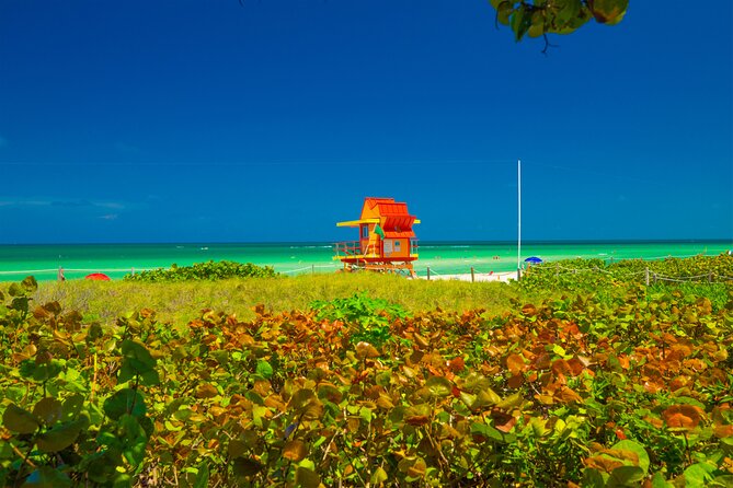 Miami Beach Art Deco & Hidden Gems Bike Tour with Local Historian - Price and what $79 really buys (and what it doesn’t)