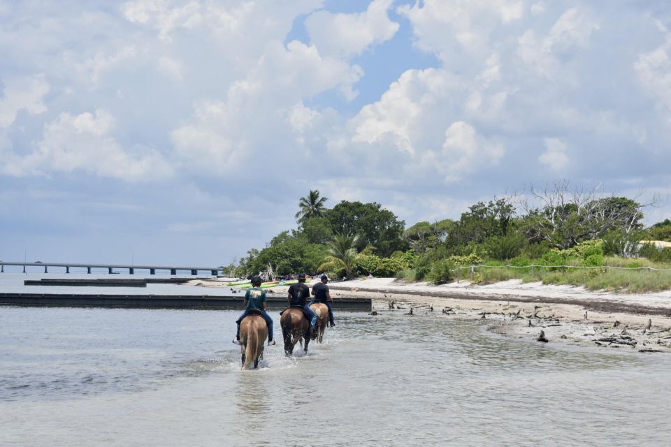 Miami: Beach Horse Ride & Nature Trail - Key things you’ll notice right away