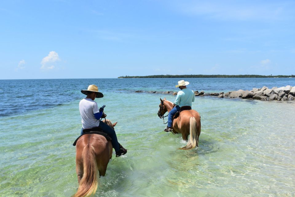 Miami: Beach Horse Ride & Nature Trail - Virginia Key Beach Park: the trail-to-beach switch you’ll remember