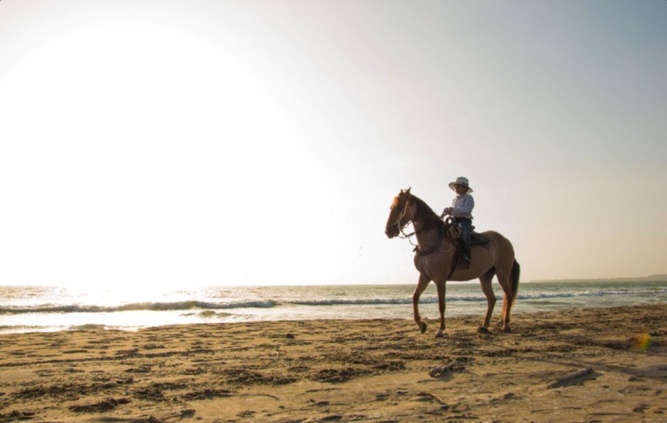 Miami: Beach Horse Ride & Nature Trail - The nature trail: how confidence gets built on purpose