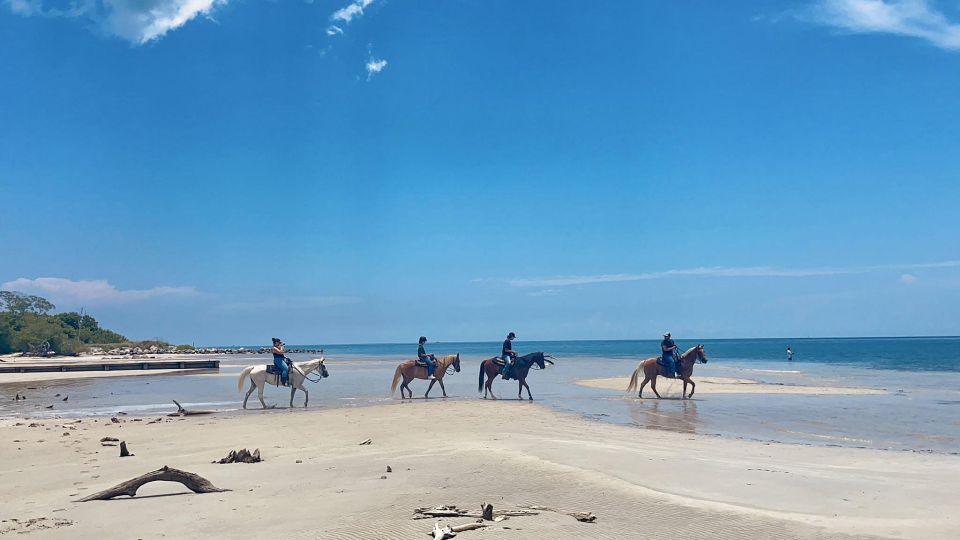 Miami: Beach Horse Ride & Nature Trail - The ranch meet-up: instructions, equipment, and getting matched