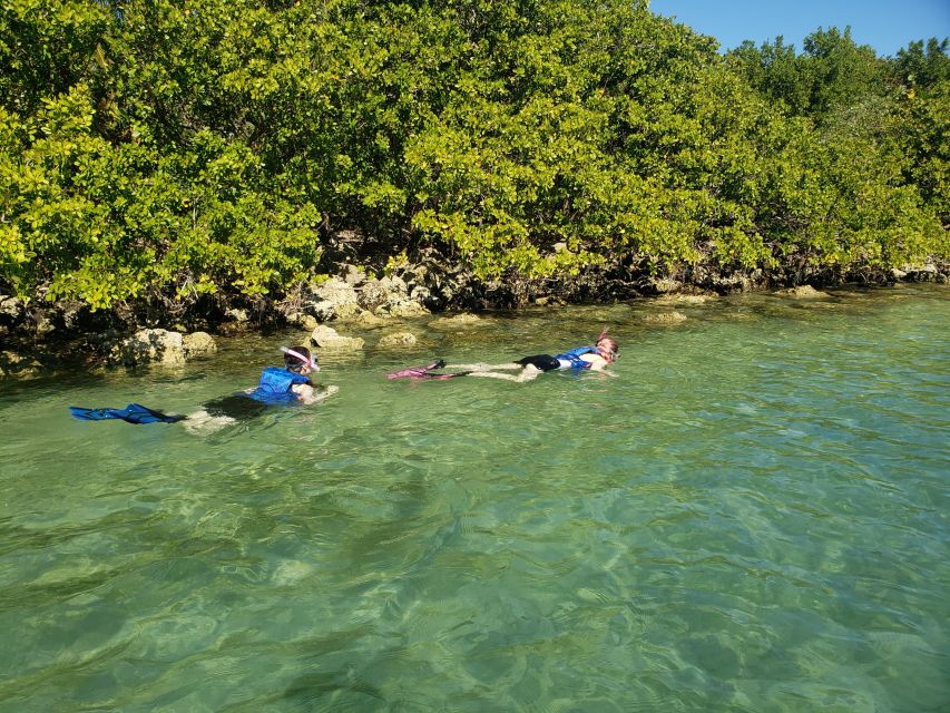 Miami: Beginner-Friendly Island Snorkeling by SUP or Kayak - Key Things to Know Before You Paddle