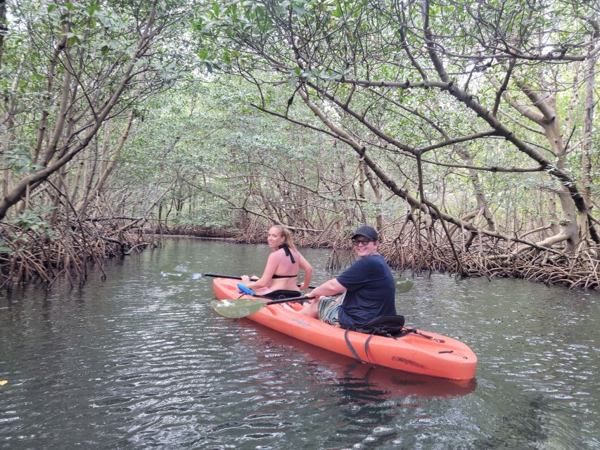 Miami: Beginner-Friendly Island Snorkeling by SUP or Kayak - Snorkel, Mangroves, and Spandspur Island in One 150-Minute Plan