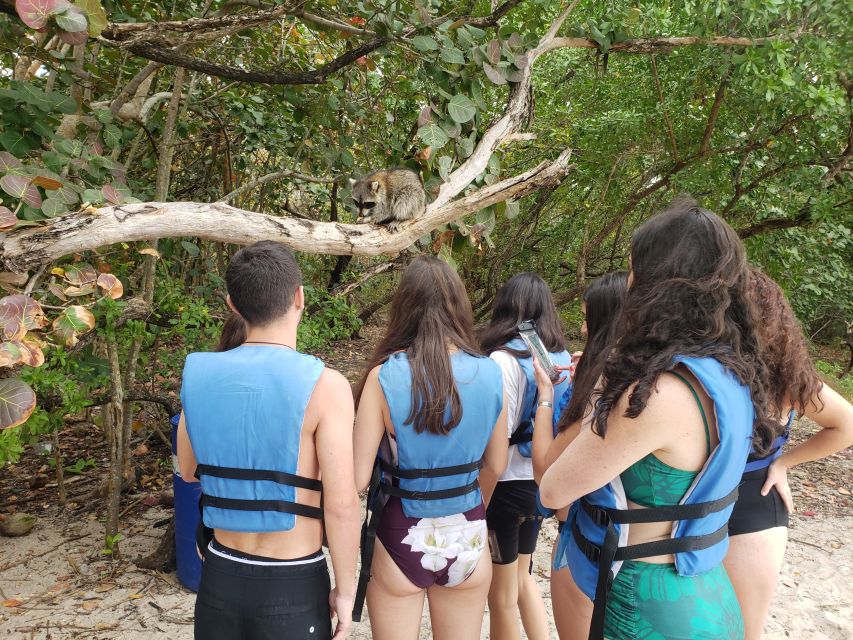 Miami: Beginner-Friendly Island Snorkeling by SUP or Kayak - The Boat Ride Toward Spandspur Island