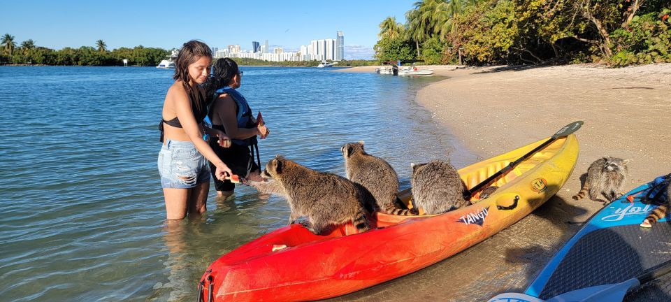 Miami: Beginner-Friendly Island Snorkeling by SUP or Kayak - Spandspur Island Snorkeling: Shallow-Water Confidence for Non-Swimmers