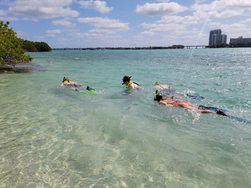 Miami: Beginner-Friendly Island Snorkeling by SUP or Kayak - Wildlife Encounters You’ll Actually Remember (Yes, Raccoons)
