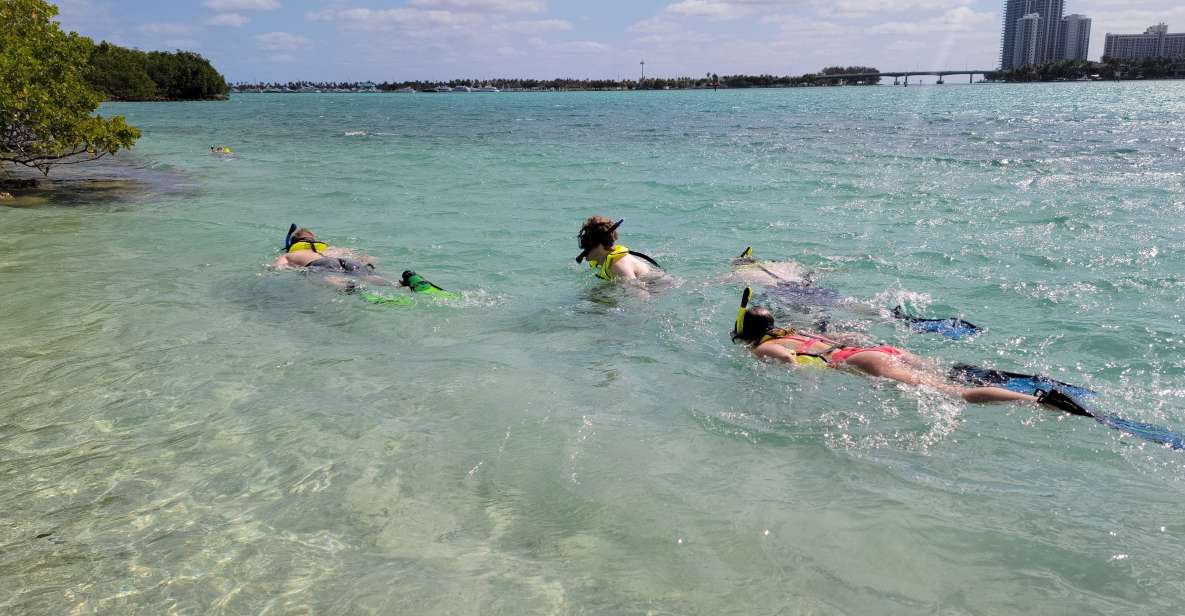 Miami: Beginner-Friendly Island Snorkeling by SUP or Kayak - Drinks, Fruit, and the Unhurried Feel