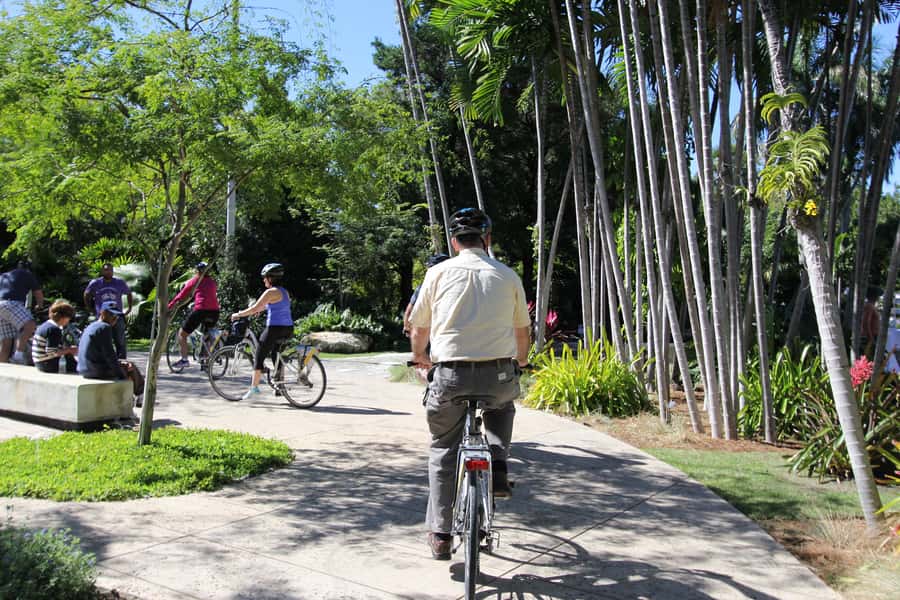 Miami: Bike Rental - Lummus Park Promenade: oceanfront views with an easy flow