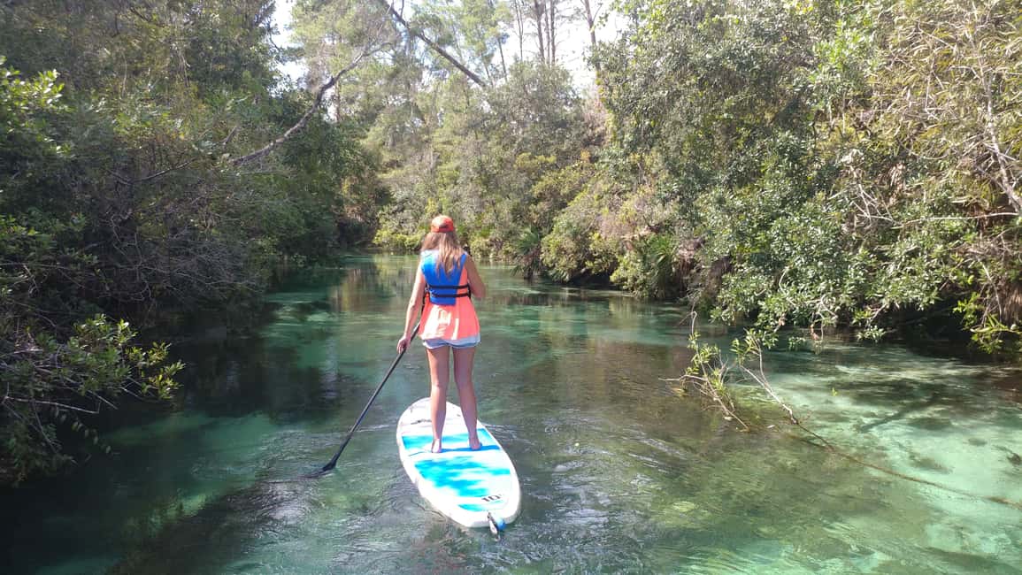 Miami: Biscayne Bay Ultimate Boat Tour with Kayak Experience - Key highlights you’ll actually feel