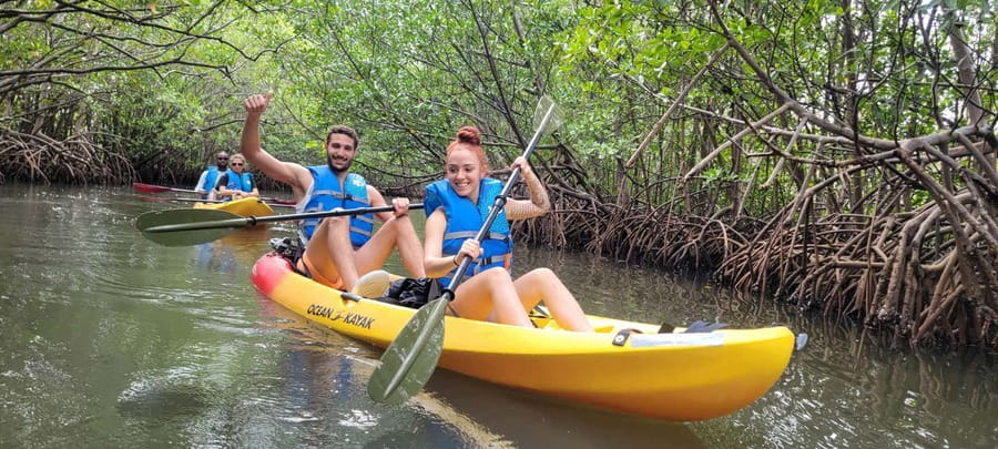 Miami: Biscayne Bay Ultimate Boat Tour with Kayak Experience - Bird Island rookery: the stop that makes birding feel hands-on