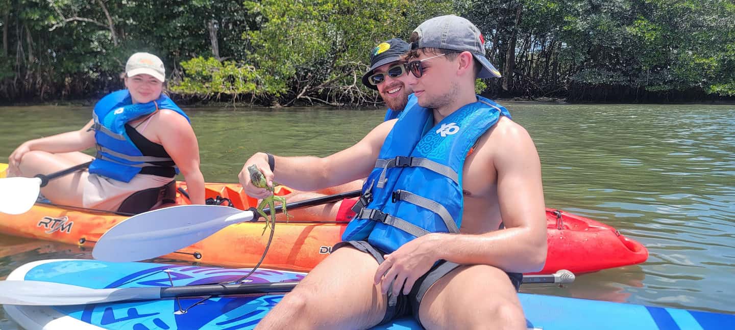 Miami: Biscayne Bay Ultimate Boat Tour with Kayak Experience - Kayaking through mangrove tunnels: where the tour turns into an adventure