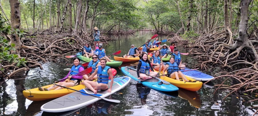 Miami: Biscayne Bay Ultimate Boat Tour with Kayak Experience - Sandspur and Raccoon Island: swimming, snorkeling, shell hunting, and the raccoon factor