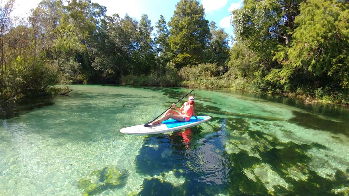 Miami: Biscayne Bay Ultimate Boat Tour with Kayak Experience - Drinks, fruit snack, and crew energy: what $99 buys you