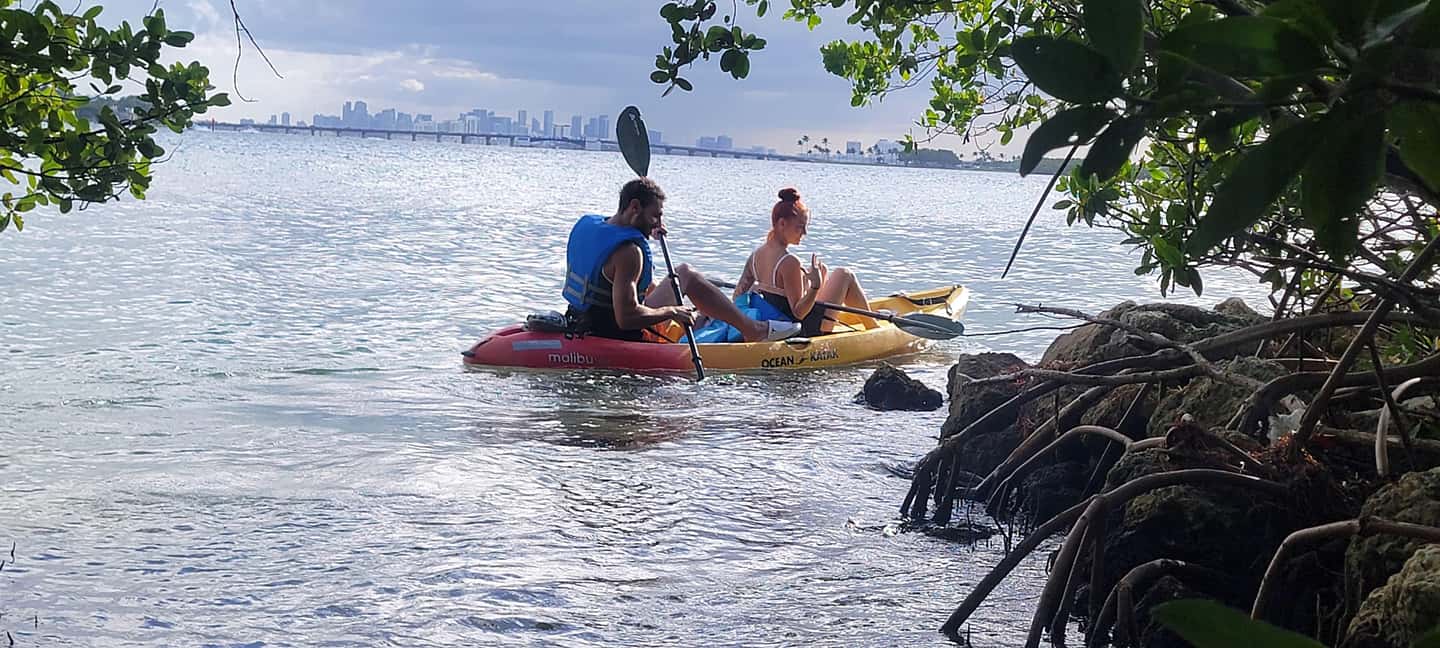 Miami: Biscayne Bay Ultimate Boat Tour with Kayak Experience - Who should book this Biscayne Bay kayak + wildlife tour