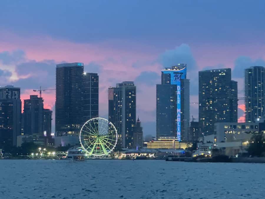 Miami Evening Boat Past Millionaire Homes on Water Taxi - Key things you’ll notice right away