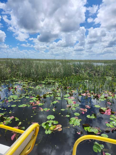 Miami: Everglades Airboat Eco Tour w/ Luxury Transportation - Why This Everglades Tour Feels Different From the Typical Day Trip