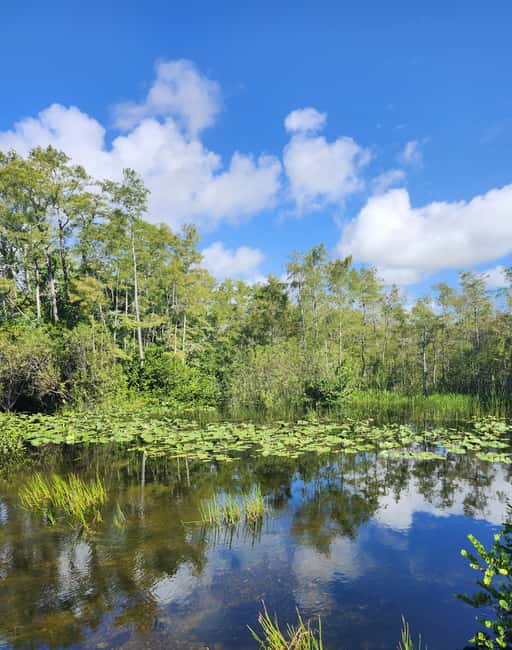 Miami: Everglades Airboat Eco Tour w/ Luxury Transportation - The 4-Hour Flow From Miami to the Real Marshes