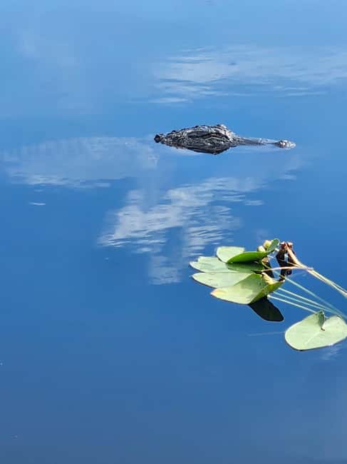Miami: Everglades Airboat Eco Tour w/ Luxury Transportation - Comfort, Small Group Size, and the Guide Experience