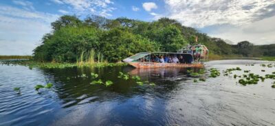 Miami: Everglades Airboat, Gator Encounter & Bus Transfer - The Miami-to-Everglades logistics: simple, but be ready