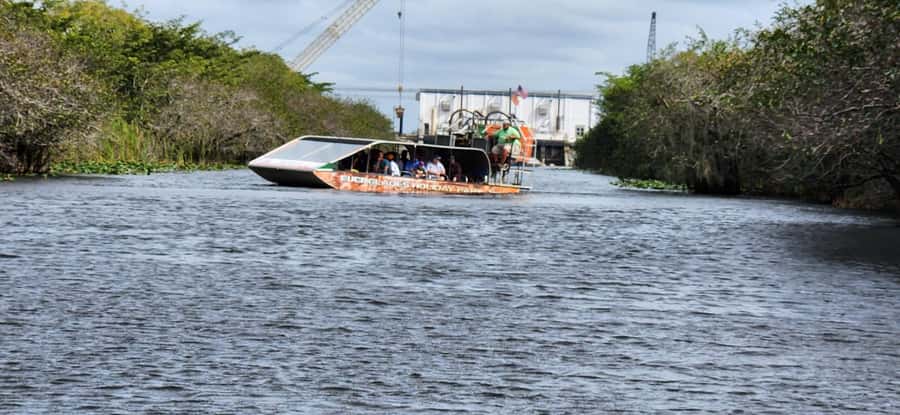 Miami: Everglades Airboat, Gator Encounter & Bus Transfer - What to bring (and what helps most on the day)